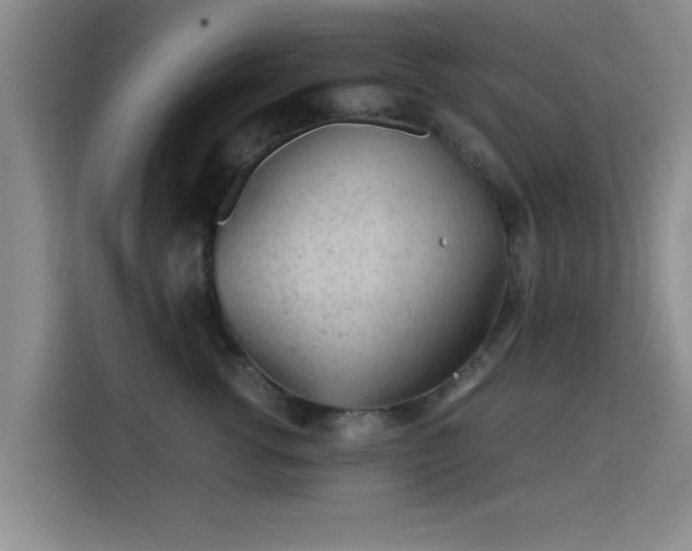 X0000115820762200911201445