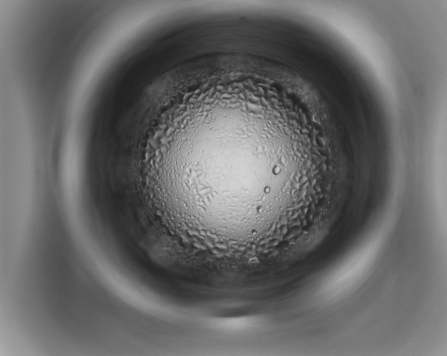 X0000115820765200911201445