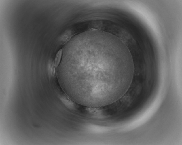 X0000115820766200911201445