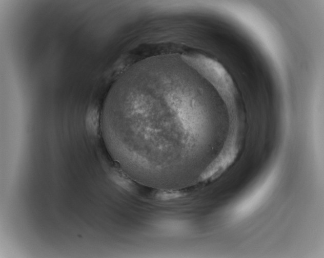 X0000115820767200911201445