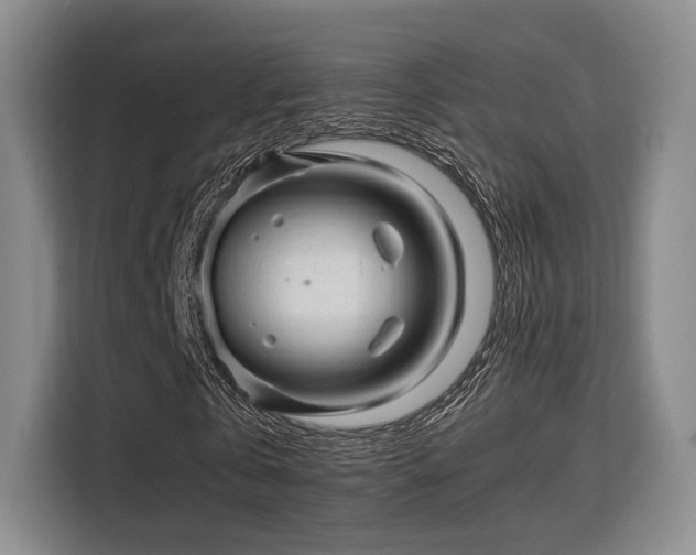 X0000115820769200911201444