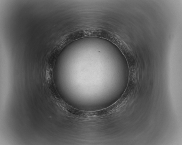 X0000115820770200911201444