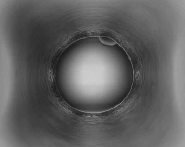 X0000115820772200911201444