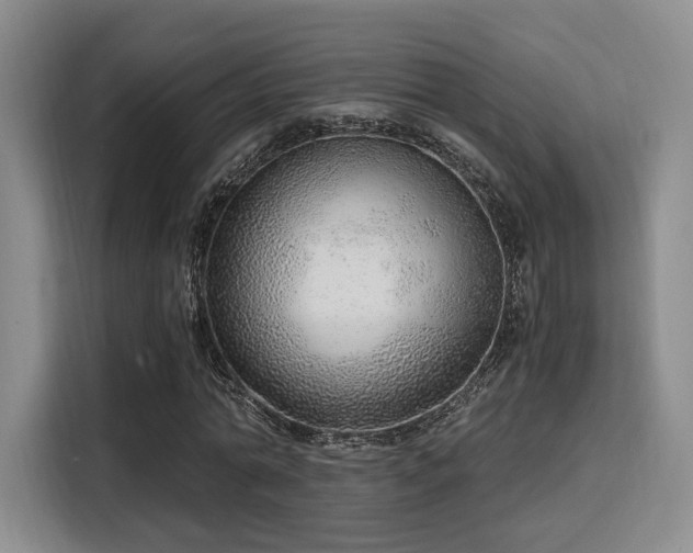 X0000115820774200911201444