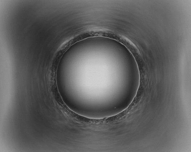 X0000115820775200911201444