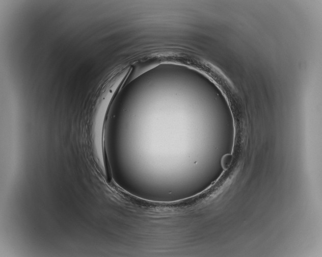 X0000115820777200911201444