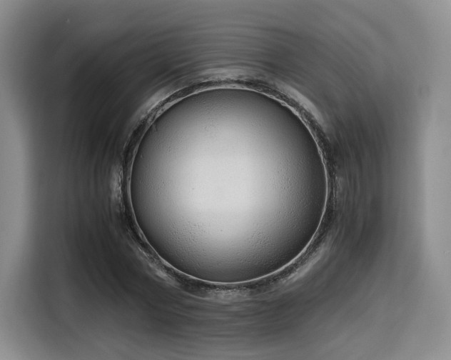 X0000115820778200911201444