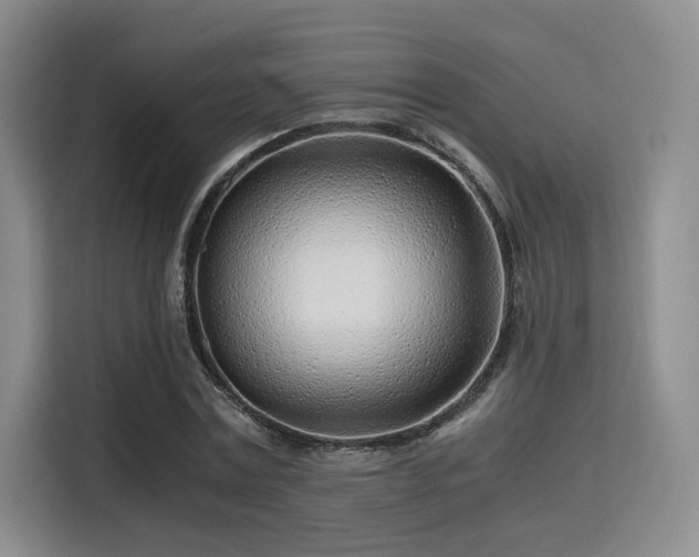 X0000115820779200911201444