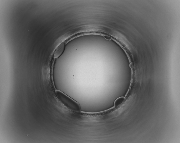 X0000115820781200911201444