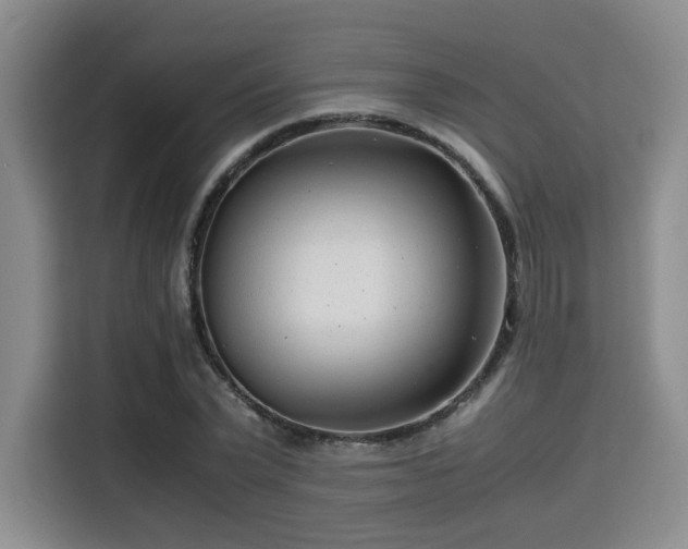 X0000115820783200911201444