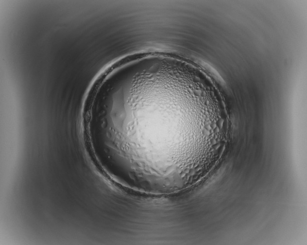 X0000115820784200911201444