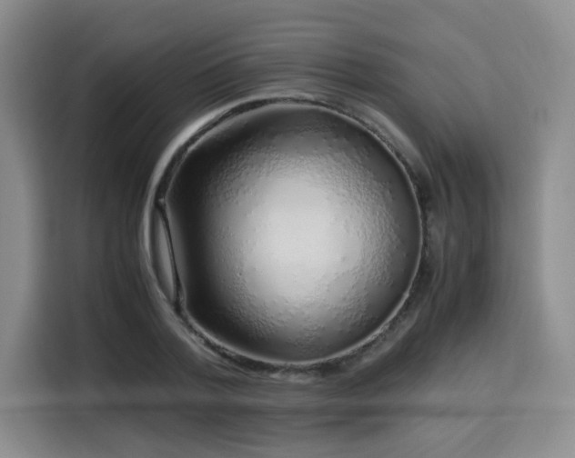 X0000115820788200911201444