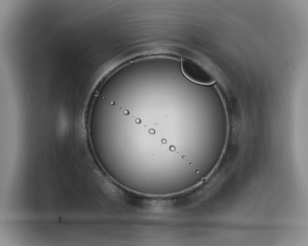 X0000115820789200911201444