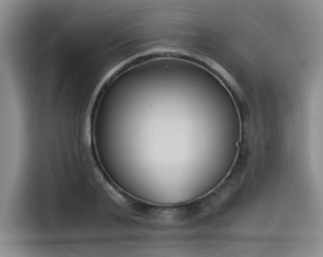 X0000115820791200911201444