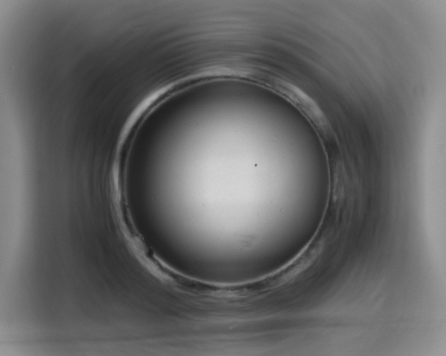 X0000115820796200911201444