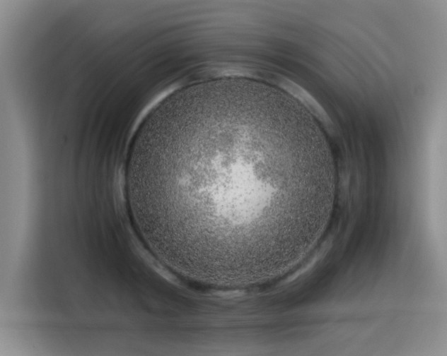 X0000115820798200911201444