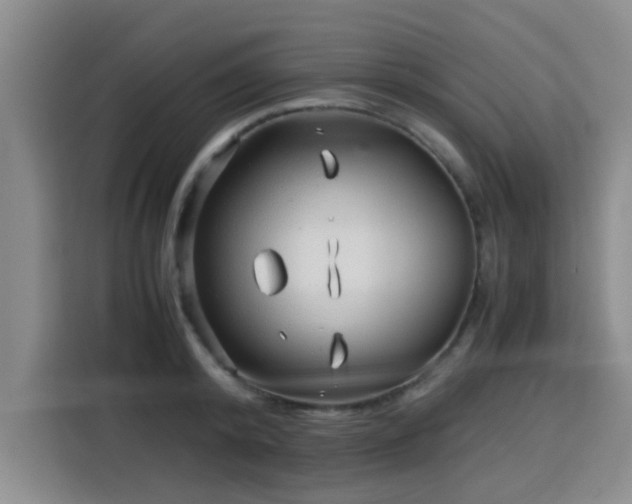 X0000115820800200911201444