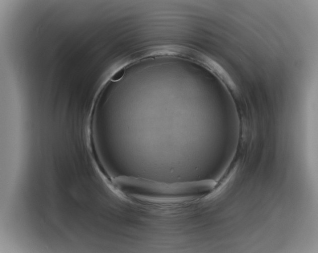 X0000115820802200911201444