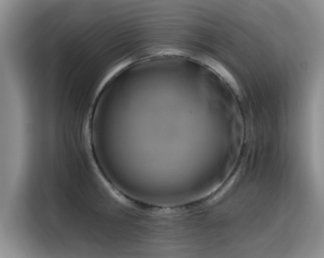 X0000115820806200911201444