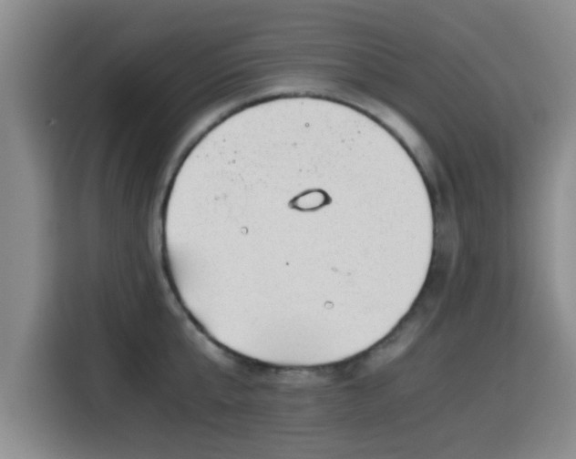 X0000115820807200911201444