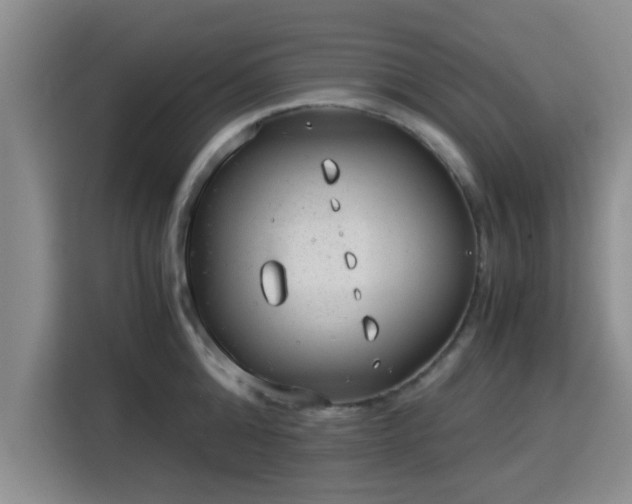 X0000115820808200911201444