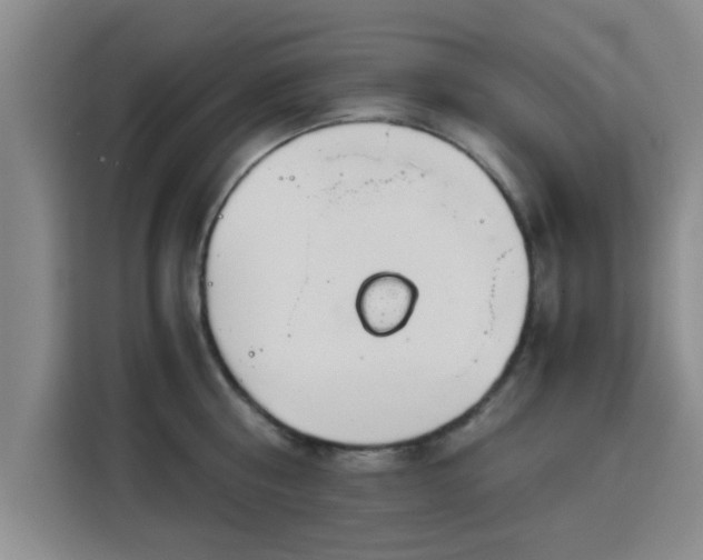 X0000115820810200911201444