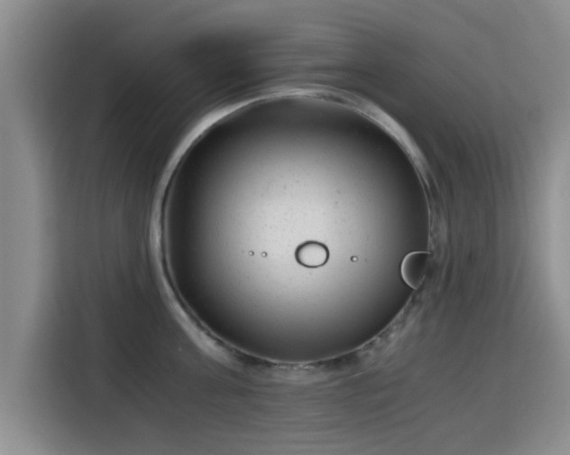 X0000115820811200911201444