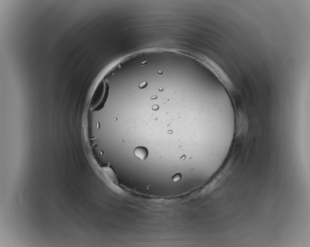 X0000115820812200911201444