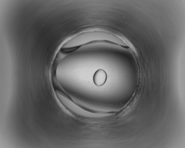 X0000115820813200911201444