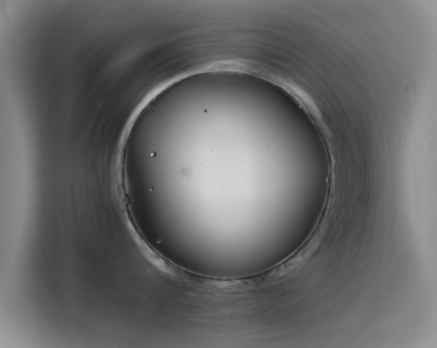 X0000115820816200911201444