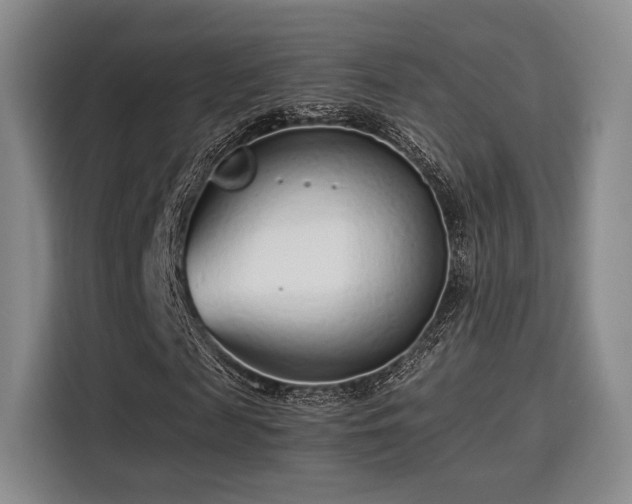 X0000115820817200911201443