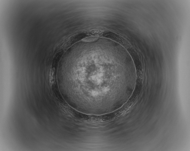 X0000115820818200911201443