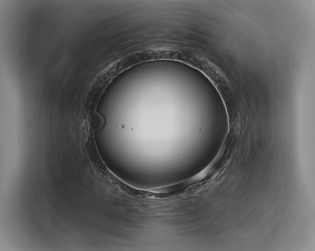 X0000115820821200911201443