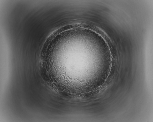 X0000115820823200911201443