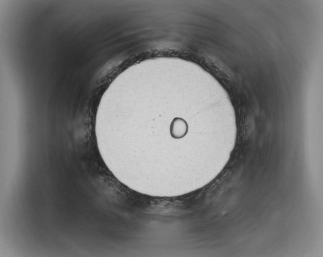 X0000115820824200911201443