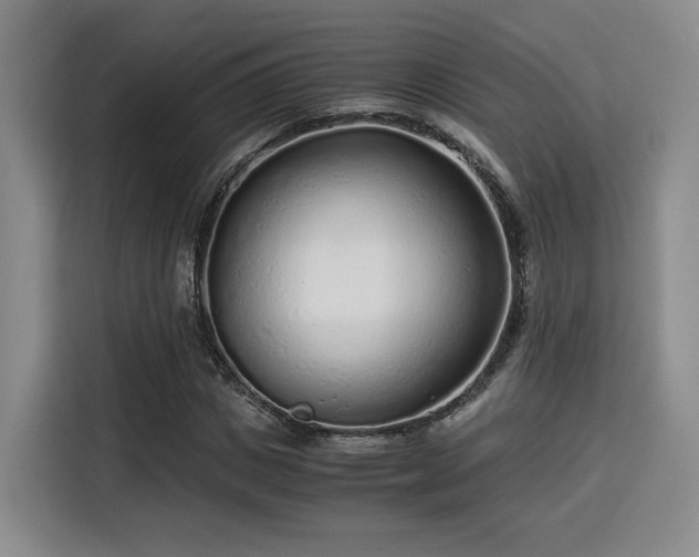 X0000115820825200911201443