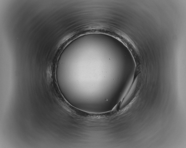 X0000115820826200911201443