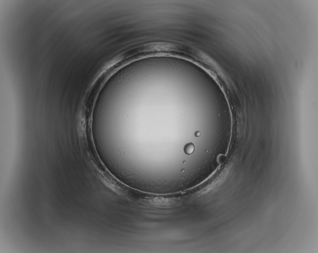 X0000115820827200911201443