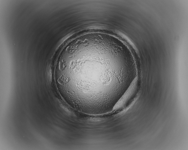 X0000115820829200911201443