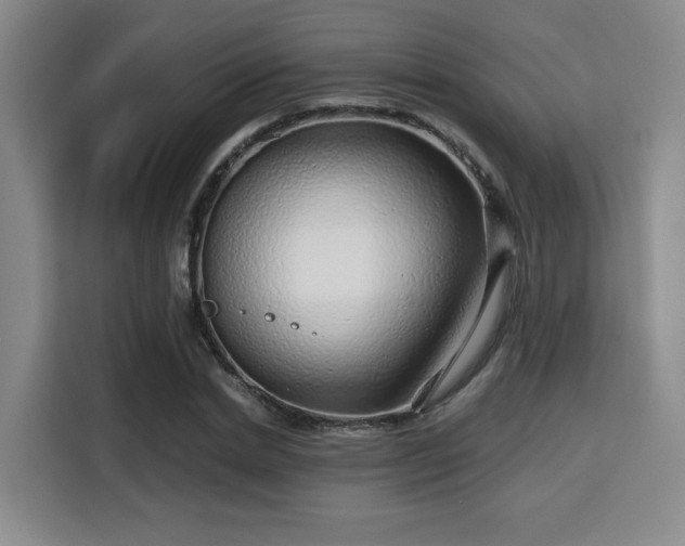 X0000115820830200911201443