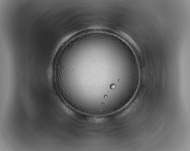 X0000115820831200911201443