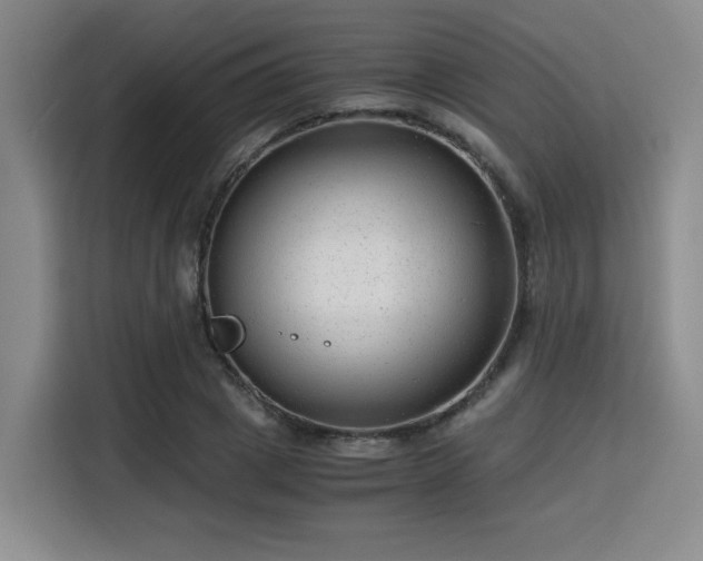 X0000115820833200911201443