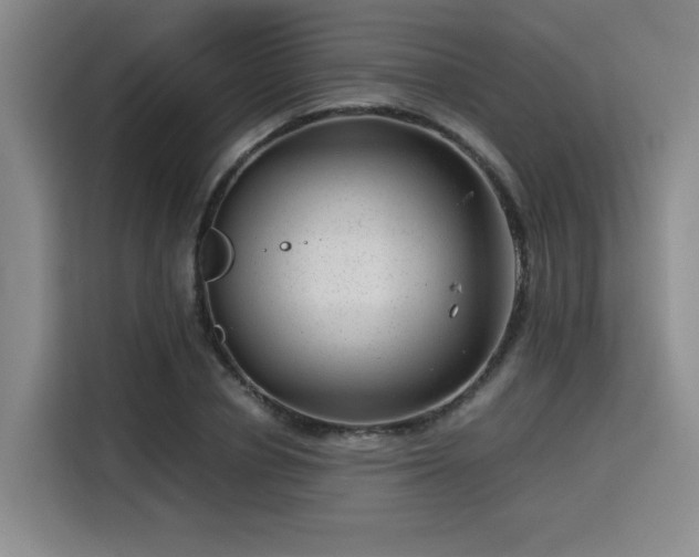 X0000115820834200911201443