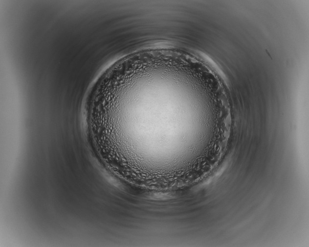 X0000115820835200911201443