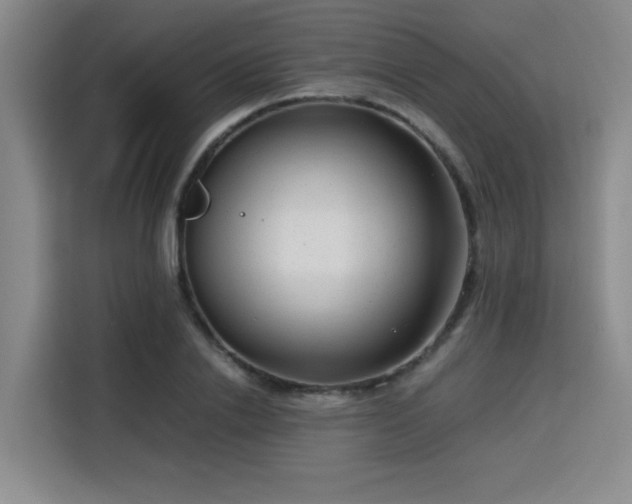 X0000115820838200911201443