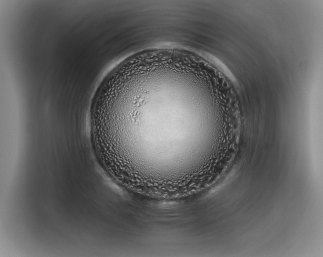 X0000115820839200911201443