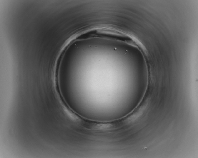 X0000115820845200911201443