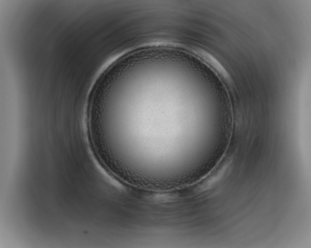 X0000115820847200911201443