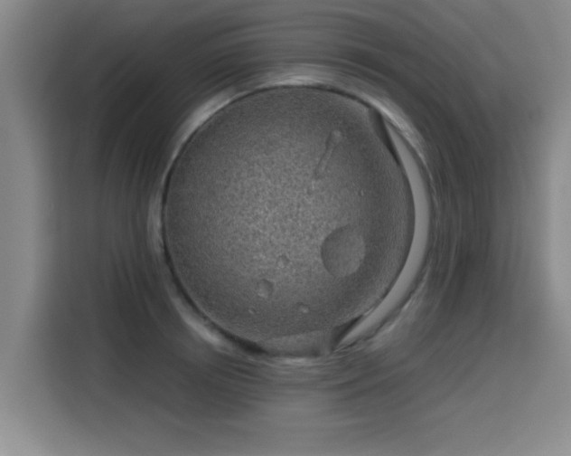 X0000115820850200911201443