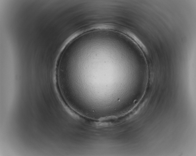 X0000115820853200911201443